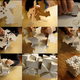Illustration for article titled Bloxes: Lego-Like Cardboard Tech For the Office